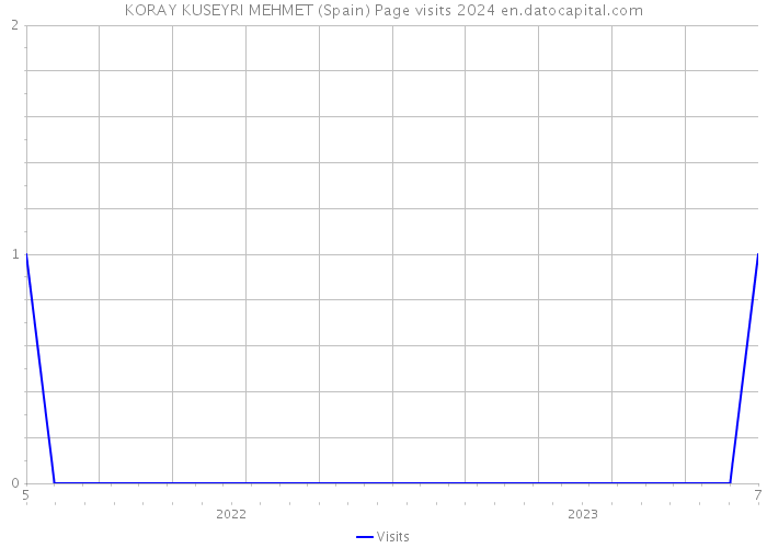 KORAY KUSEYRI MEHMET (Spain) Page visits 2024 