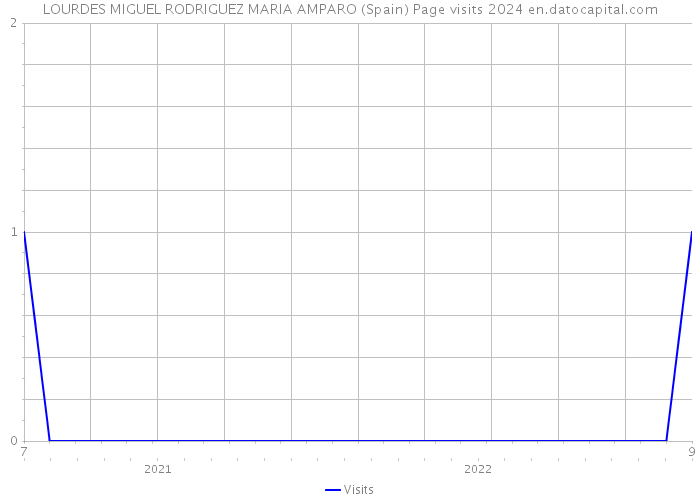 LOURDES MIGUEL RODRIGUEZ MARIA AMPARO (Spain) Page visits 2024 