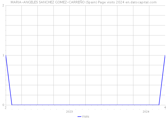 MARIA-ANGELES SANCHEZ GOMEZ-CARREÑO (Spain) Page visits 2024 