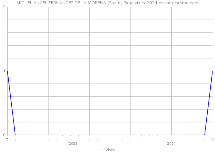 MIGUEL ANGEL FERNANDEZ DE LA MORENA (Spain) Page visits 2024 
