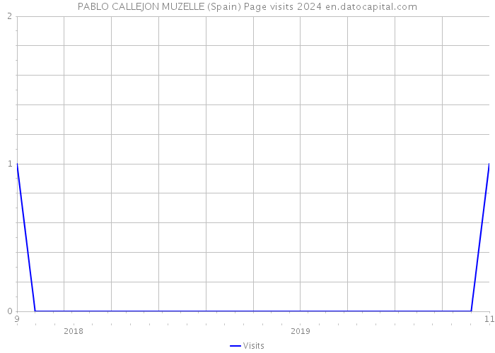 PABLO CALLEJON MUZELLE (Spain) Page visits 2024 