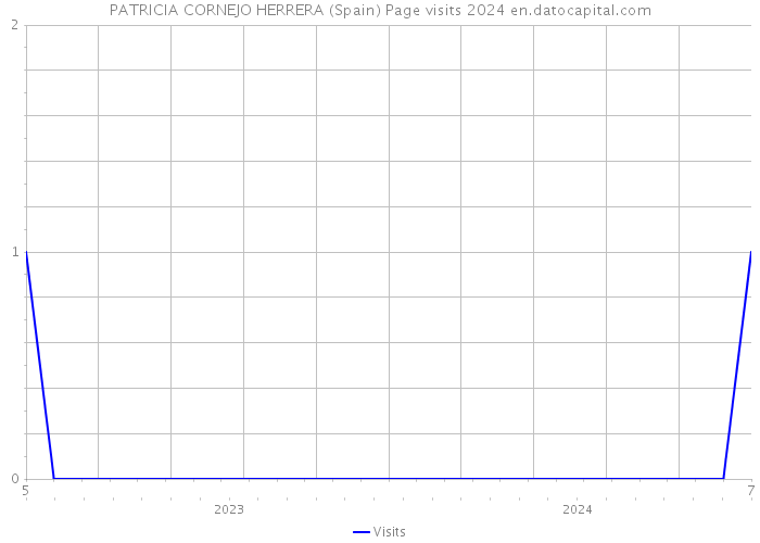 PATRICIA CORNEJO HERRERA (Spain) Page visits 2024 
