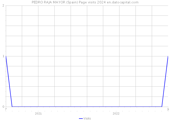 PEDRO RAJA MAYOR (Spain) Page visits 2024 
