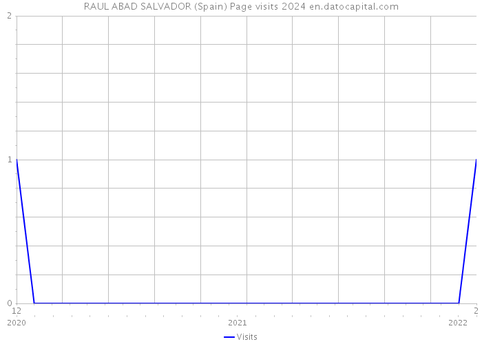RAUL ABAD SALVADOR (Spain) Page visits 2024 
