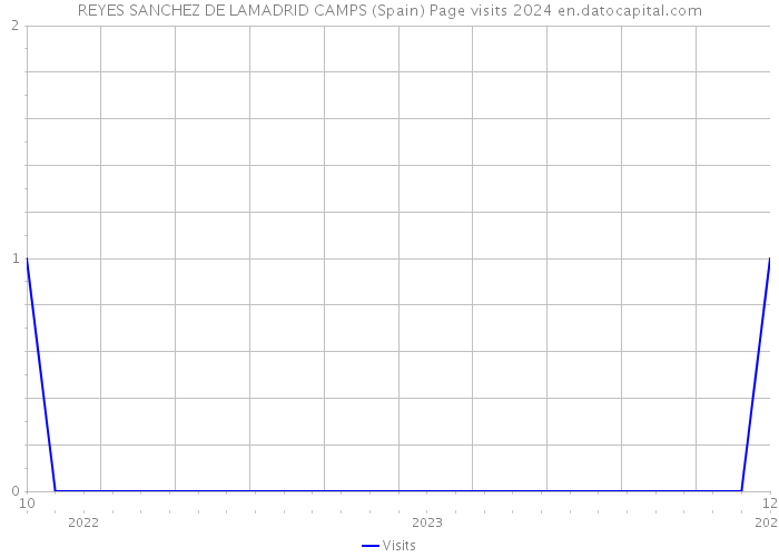 REYES SANCHEZ DE LAMADRID CAMPS (Spain) Page visits 2024 
