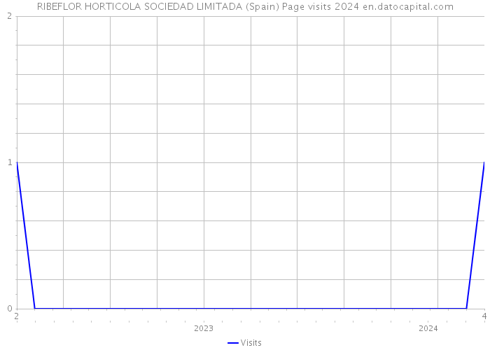 RIBEFLOR HORTICOLA SOCIEDAD LIMITADA (Spain) Page visits 2024 
