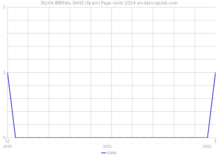 SILVIA BERNAL SANZ (Spain) Page visits 2024 