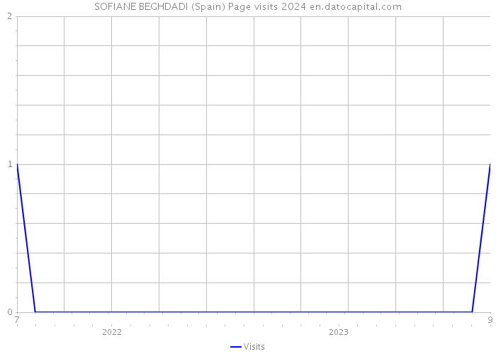 SOFIANE BEGHDADI (Spain) Page visits 2024 