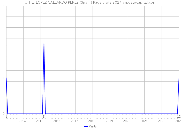 U.T.E. LOPEZ GALLARDO PEREZ (Spain) Page visits 2024 