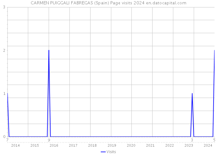 CARMEN PUIGGALI FABREGAS (Spain) Page visits 2024 
