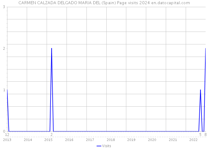 CARMEN CALZADA DELGADO MARIA DEL (Spain) Page visits 2024 