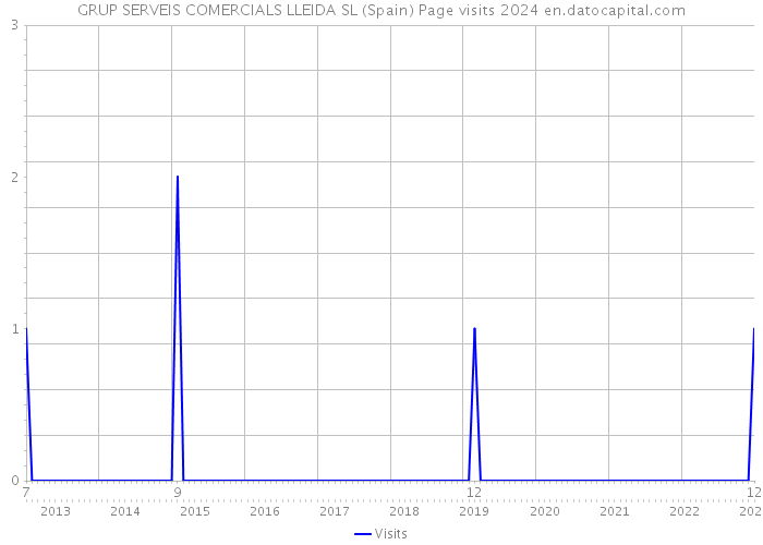 GRUP SERVEIS COMERCIALS LLEIDA SL (Spain) Page visits 2024 