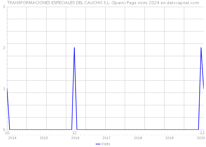 TRANSFORMACIONES ESPECIALES DEL CAUCHO S.L. (Spain) Page visits 2024 