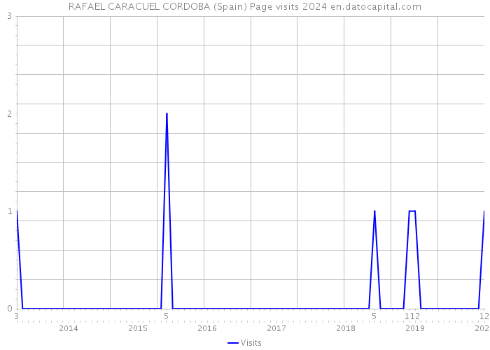 RAFAEL CARACUEL CORDOBA (Spain) Page visits 2024 