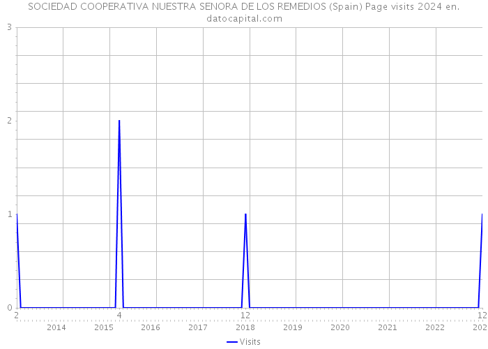 SOCIEDAD COOPERATIVA NUESTRA SENORA DE LOS REMEDIOS (Spain) Page visits 2024 
