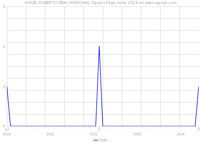 ANGEL ROBERTO REAL MARICHAL (Spain) Page visits 2024 