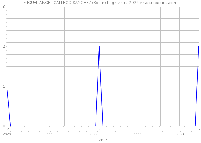 MIGUEL ANGEL GALLEGO SANCHEZ (Spain) Page visits 2024 