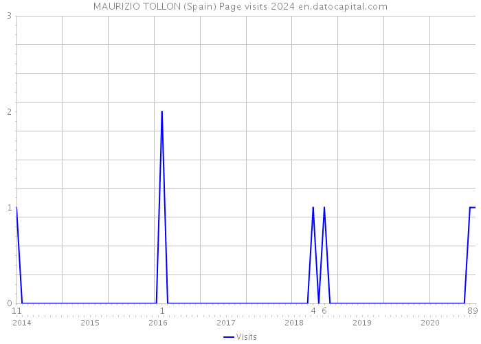 MAURIZIO TOLLON (Spain) Page visits 2024 