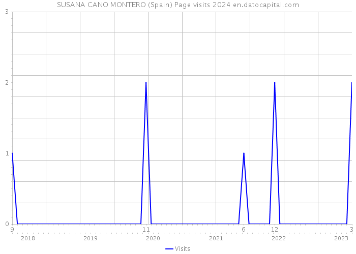 SUSANA CANO MONTERO (Spain) Page visits 2024 