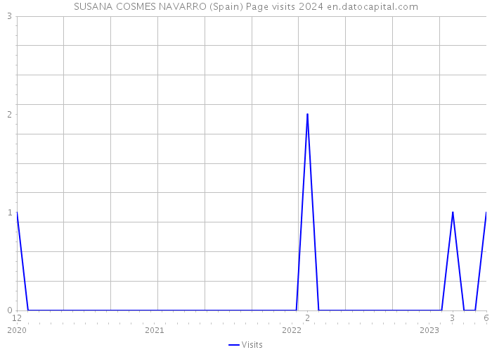 SUSANA COSMES NAVARRO (Spain) Page visits 2024 