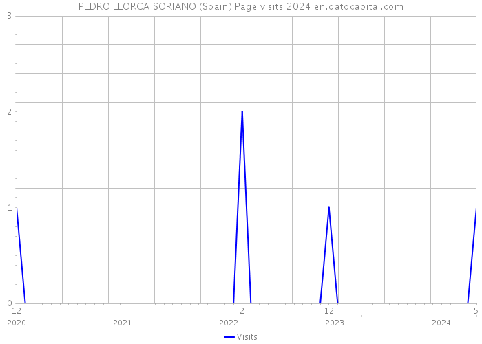 PEDRO LLORCA SORIANO (Spain) Page visits 2024 