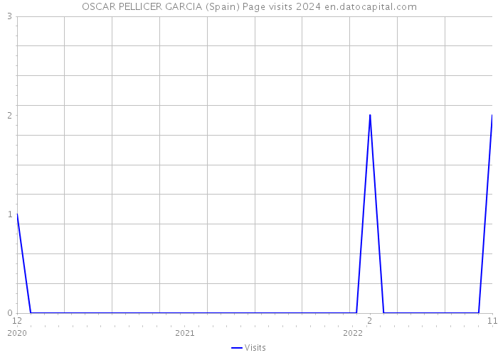 OSCAR PELLICER GARCIA (Spain) Page visits 2024 