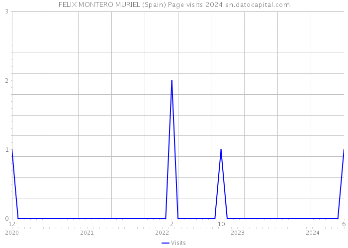 FELIX MONTERO MURIEL (Spain) Page visits 2024 