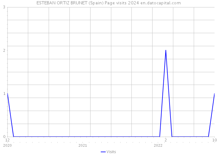 ESTEBAN ORTIZ BRUNET (Spain) Page visits 2024 