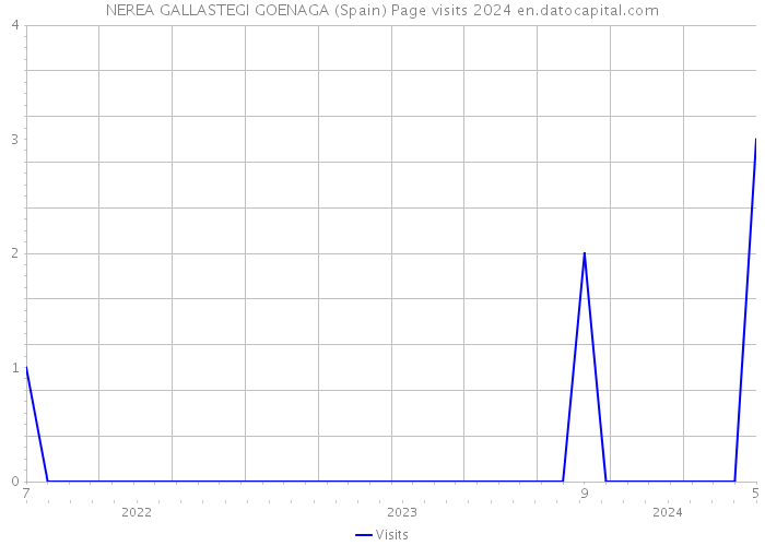 NEREA GALLASTEGI GOENAGA (Spain) Page visits 2024 