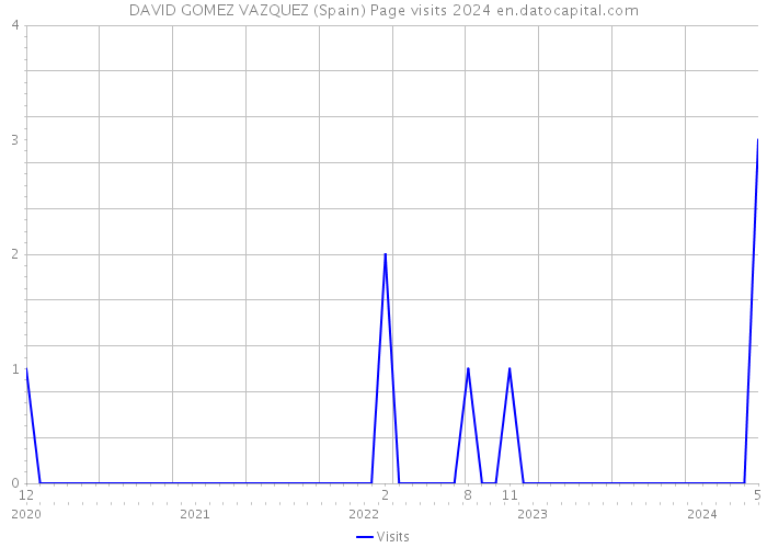 DAVID GOMEZ VAZQUEZ (Spain) Page visits 2024 