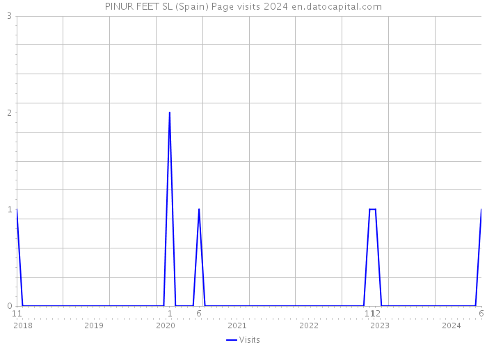 PINUR FEET SL (Spain) Page visits 2024 