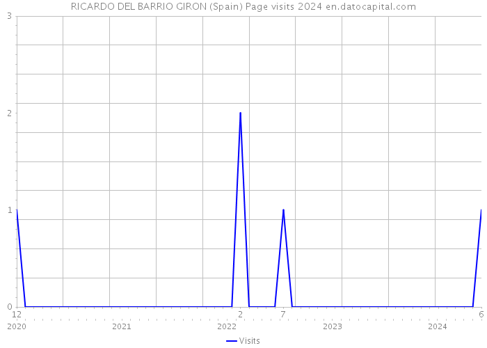 RICARDO DEL BARRIO GIRON (Spain) Page visits 2024 