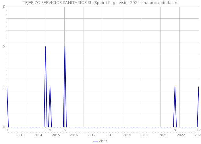 TEJERIZO SERVICIOS SANITARIOS SL (Spain) Page visits 2024 