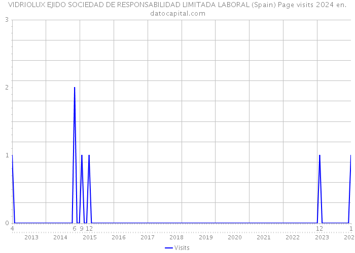 VIDRIOLUX EJIDO SOCIEDAD DE RESPONSABILIDAD LIMITADA LABORAL (Spain) Page visits 2024 