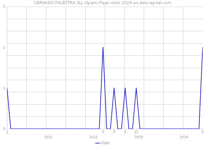 GIMNASIO PALESTRA SLL (Spain) Page visits 2024 