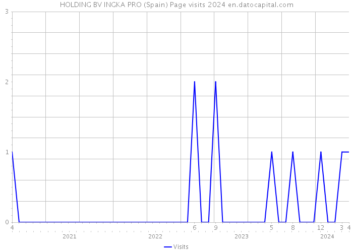 HOLDING BV INGKA PRO (Spain) Page visits 2024 