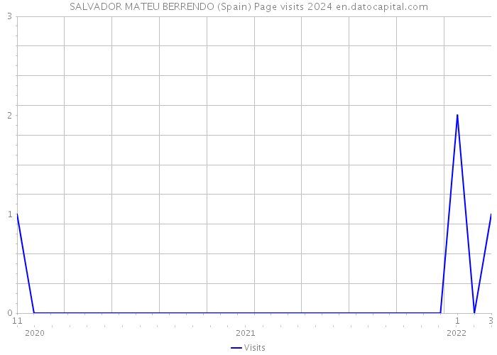 SALVADOR MATEU BERRENDO (Spain) Page visits 2024 