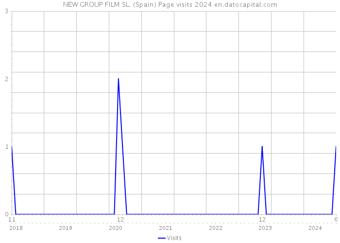 NEW GROUP FILM SL. (Spain) Page visits 2024 