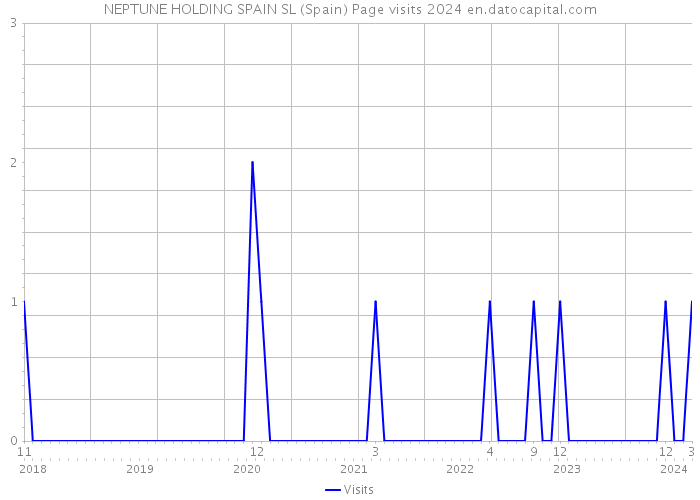 NEPTUNE HOLDING SPAIN SL (Spain) Page visits 2024 