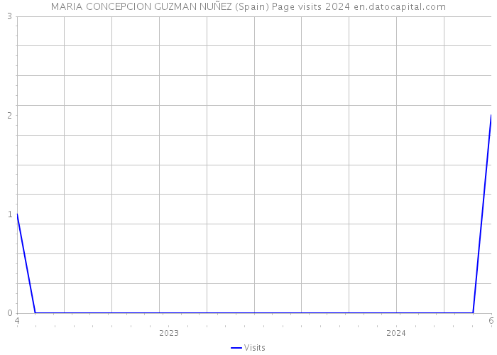 MARIA CONCEPCION GUZMAN NUÑEZ (Spain) Page visits 2024 