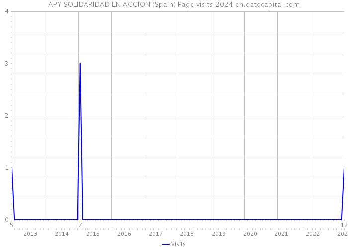 APY SOLIDARIDAD EN ACCION (Spain) Page visits 2024 