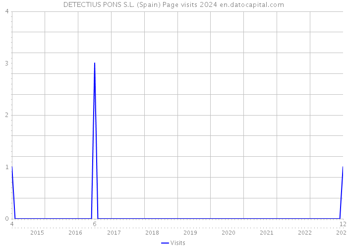 DETECTIUS PONS S.L. (Spain) Page visits 2024 