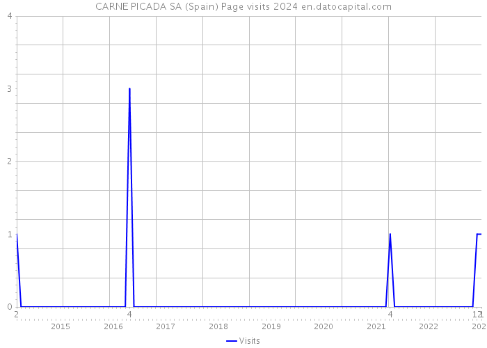 CARNE PICADA SA (Spain) Page visits 2024 