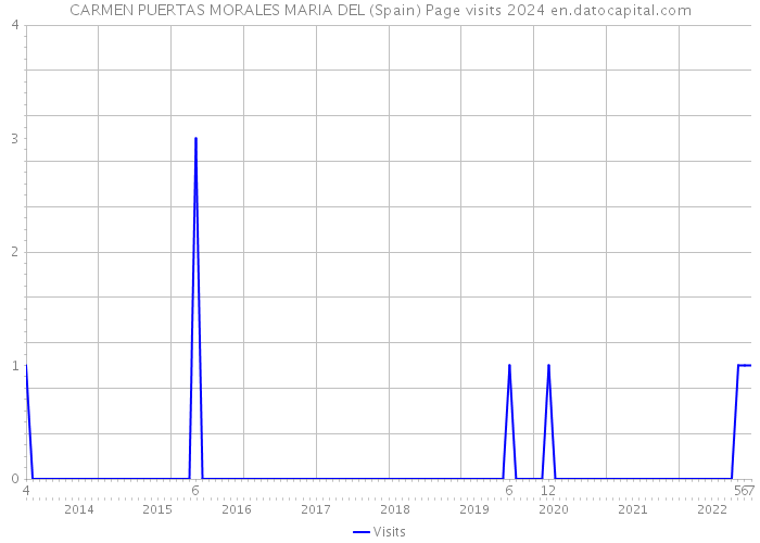 CARMEN PUERTAS MORALES MARIA DEL (Spain) Page visits 2024 