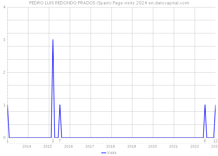 PEDRO LUIS REDONDO PRADOS (Spain) Page visits 2024 