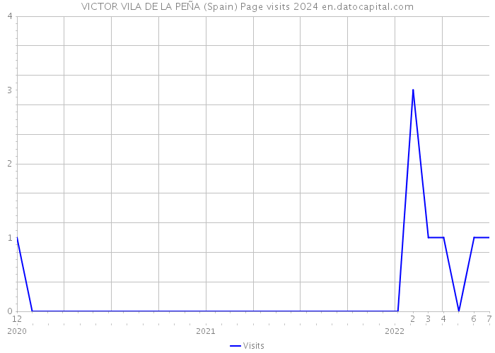 VICTOR VILA DE LA PEÑA (Spain) Page visits 2024 