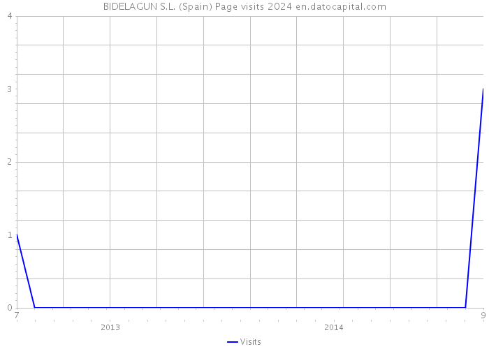 BIDELAGUN S.L. (Spain) Page visits 2024 