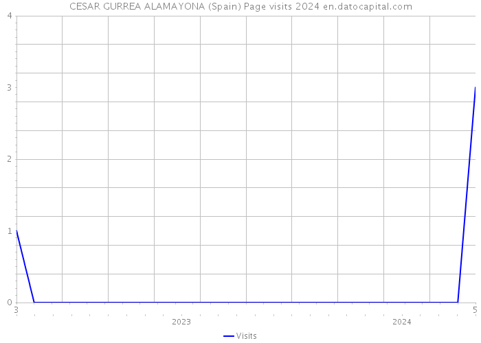 CESAR GURREA ALAMAYONA (Spain) Page visits 2024 
