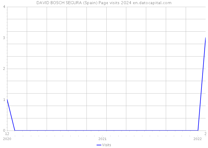 DAVID BOSCH SEGURA (Spain) Page visits 2024 