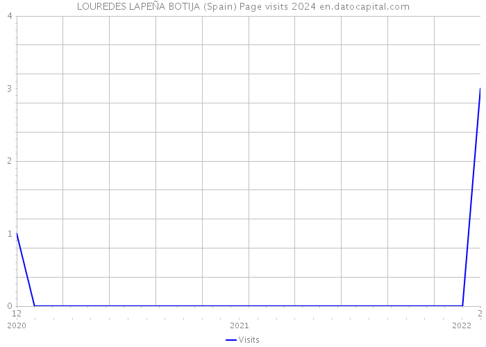LOUREDES LAPEÑA BOTIJA (Spain) Page visits 2024 